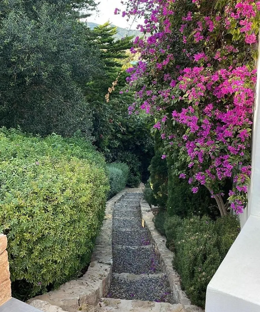 Villa Jondal San José